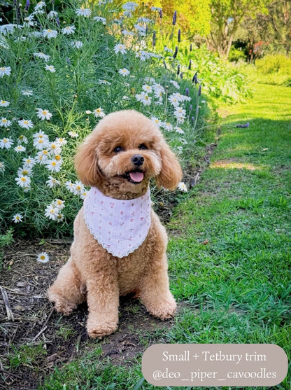 Berry Stripe - Pink Bandana