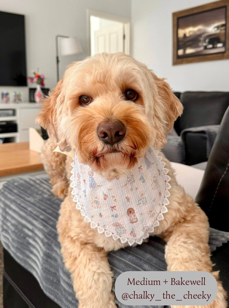 Cosy Doggies Bandana