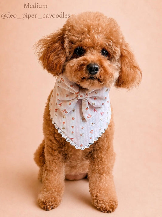 Berry Stripe - Pink Bow Tie