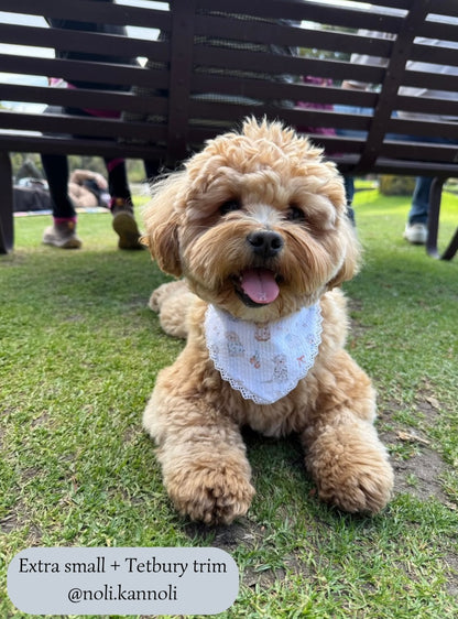 Cosy Doggies Bandana