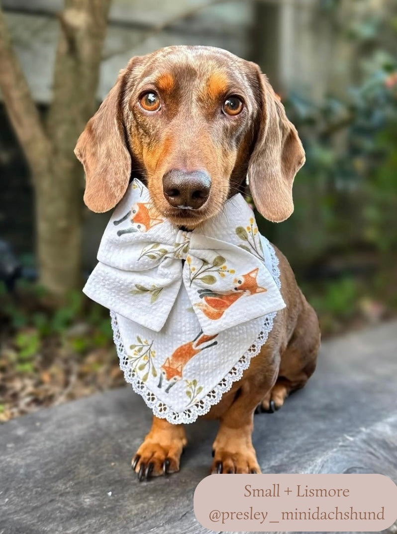 Fluffy Foxes Bandana