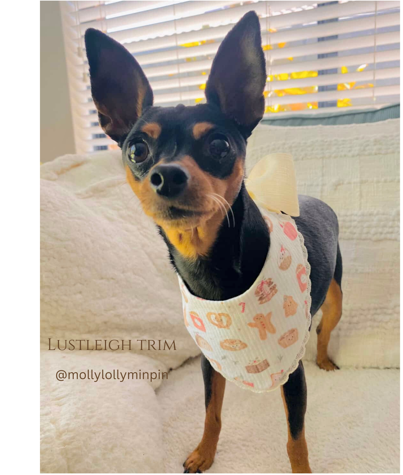 Festive Bakehouse Bandana